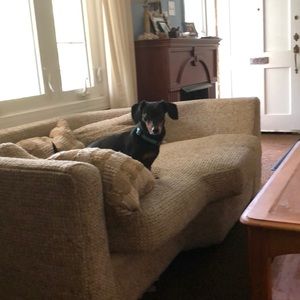 Meet your Posher, Chloe